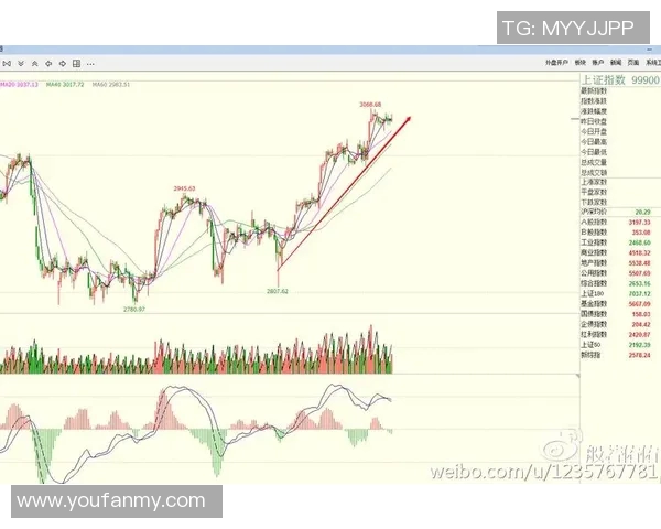 深入分析北京排球队防守策略与战术特点的专业解读