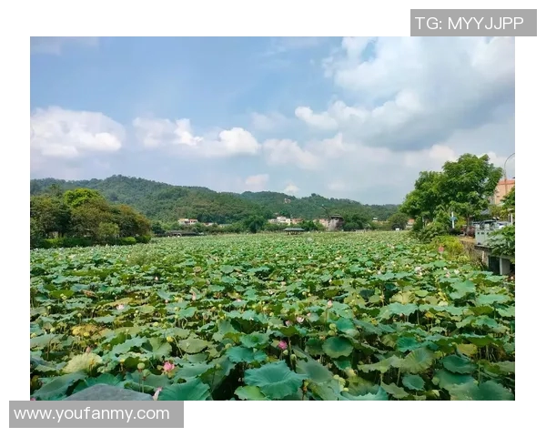 清波荡漾，梦幻泳池设计灵感分享